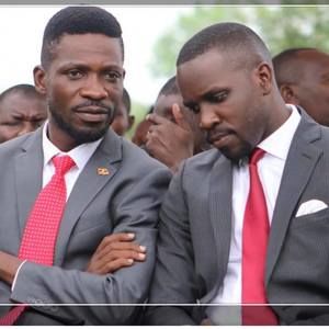 Meet your Posher, Bob